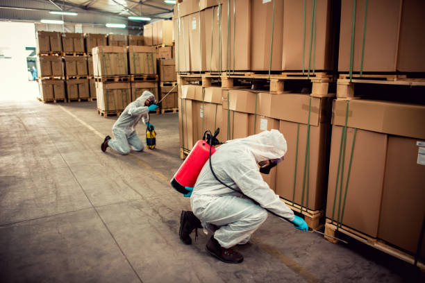 Best Emergency Pest Control  in Walker, LA