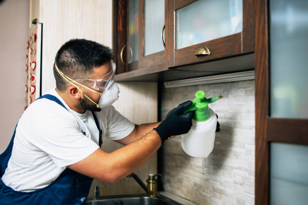 Best Termite Control Services  in Walker, LA
