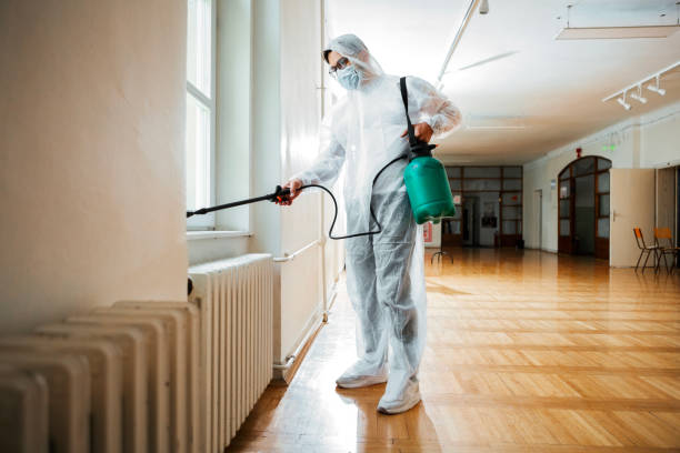 Best Cockroach Control Services  in Walker, LA